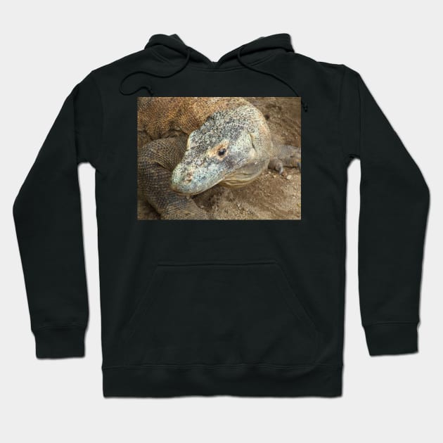 Komodo Dragon Hoodie by kirstybush